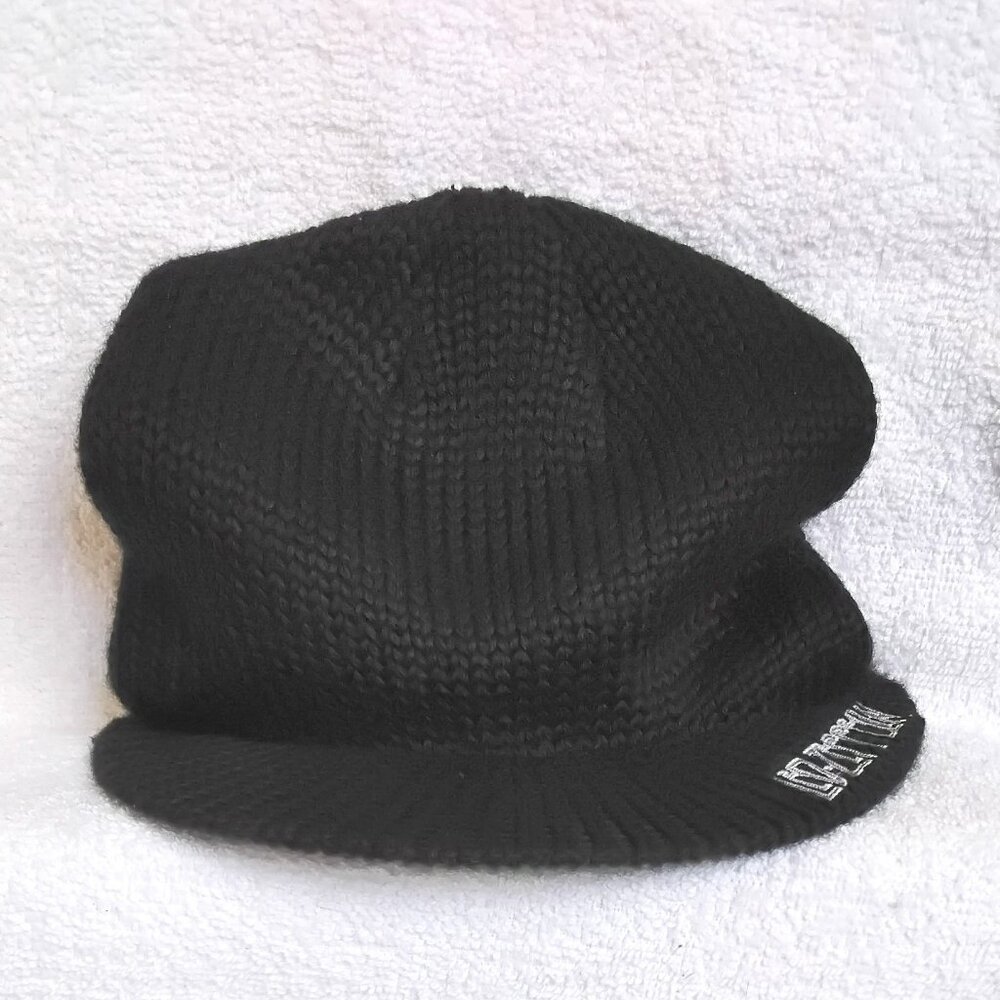 Led Zepplin Swan Flat Brim Beanie BNWOT!!